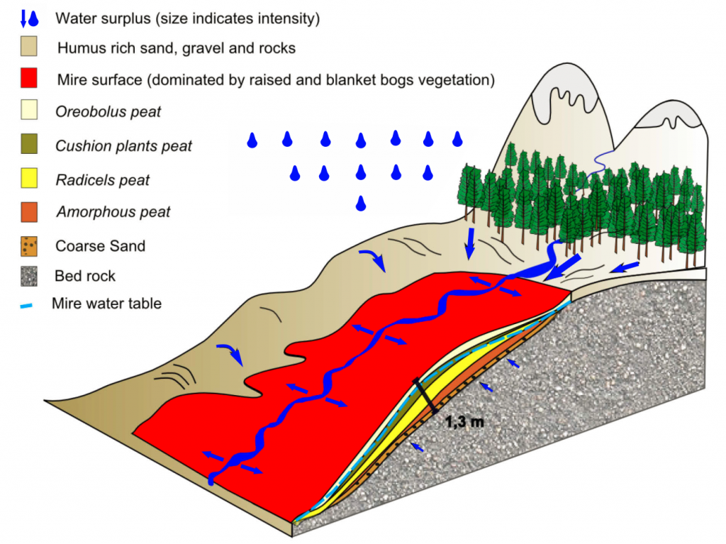 Flow Through Bogs – Turberas de Chile