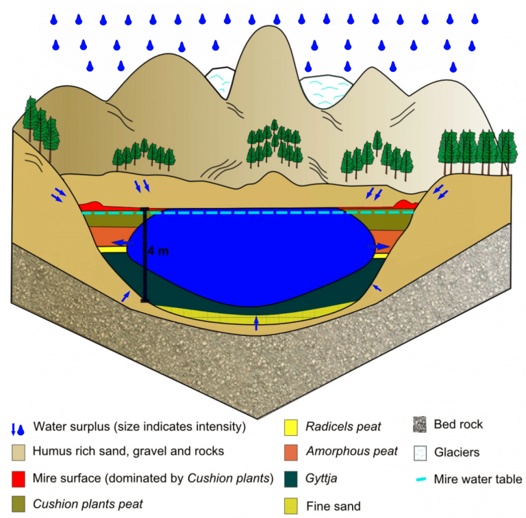 Terrestrialization Bogs – Turberas de Chile