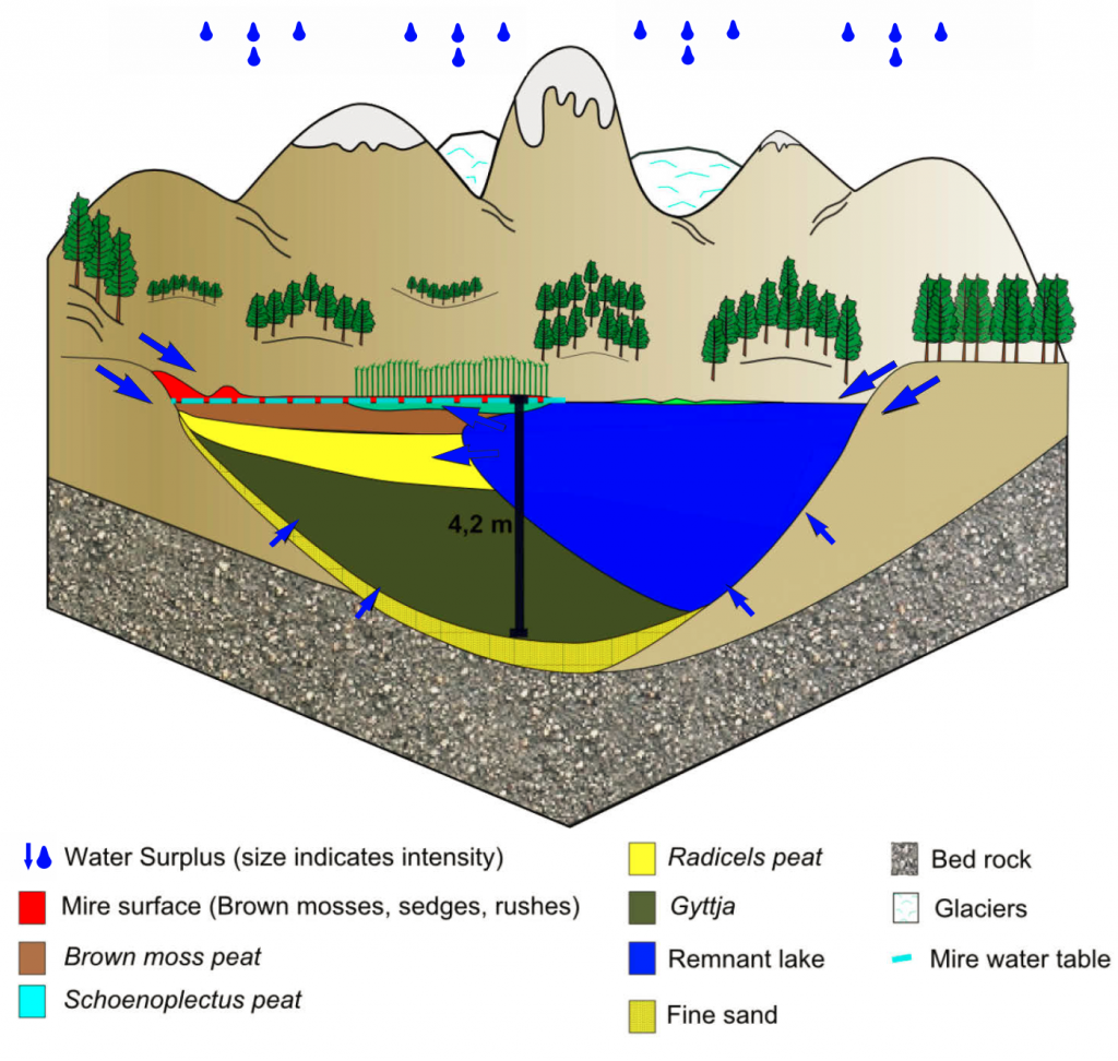 Terrestrialization Fens – Turberas de Chile